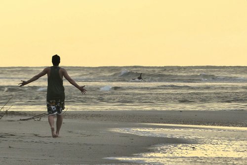 beach  sea  body of water