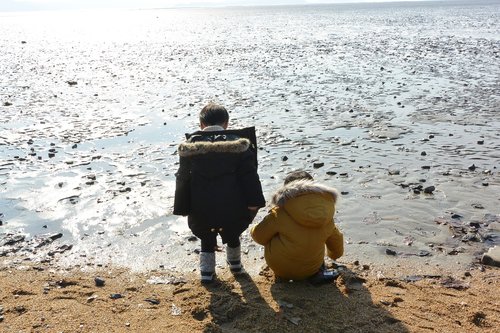 beach  sea  sand