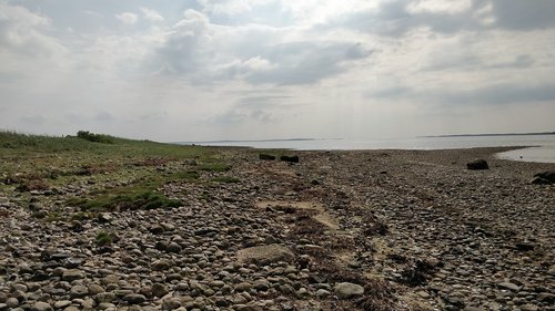 beach  nature  sea