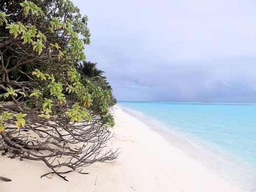 beach  sea  maldives
