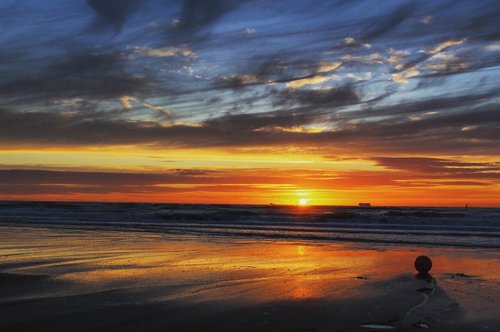 beach  holland  sea