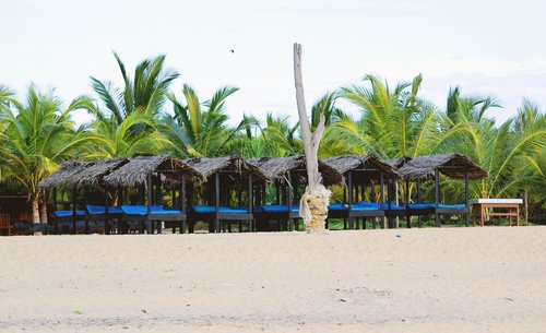 beach  cabana  tropical