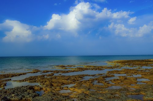 beach  coast  sea