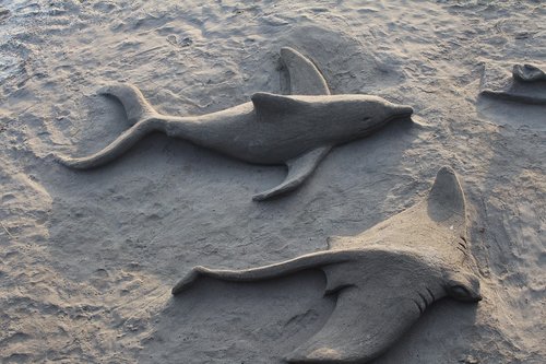 beach  sand sculpture  fish