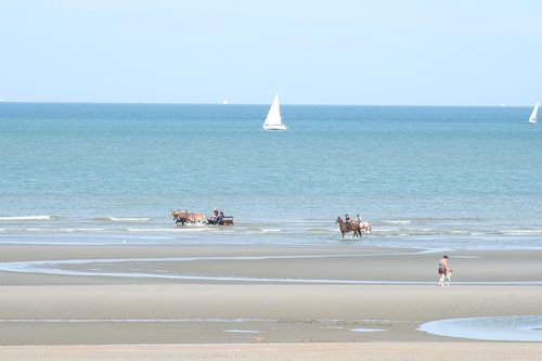 beach  belgium  summer