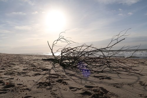 beach  north sea  sand beach