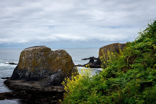 beach  nature  ocean