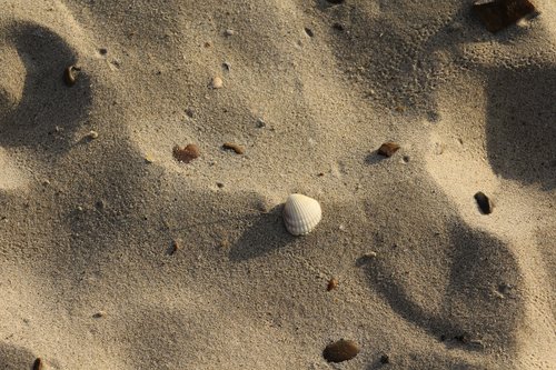 beach  sand  summer