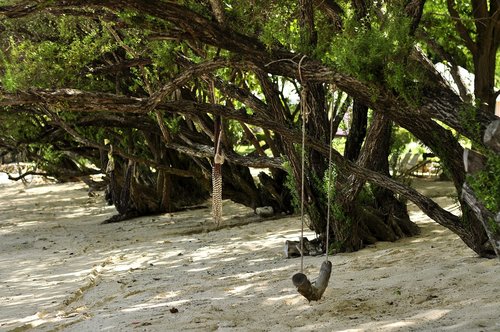 beach  sand  rest