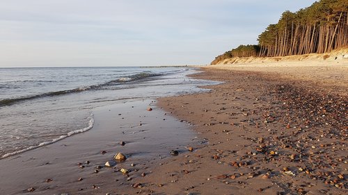 beach  sea  the waves