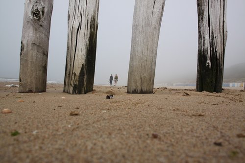 beach  sea  sand