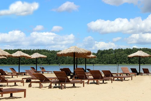 beach  plant  sun loungers