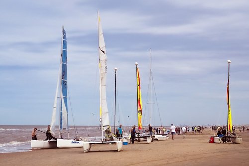 beach  sea  water