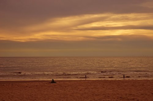 beach  sea  water