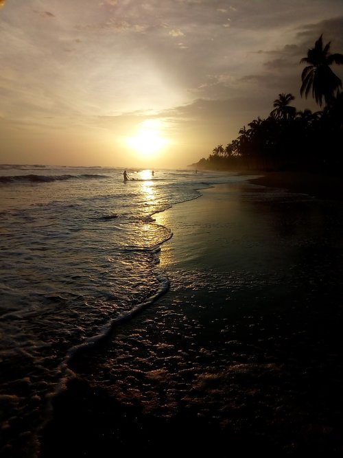 beach  sunset  sea