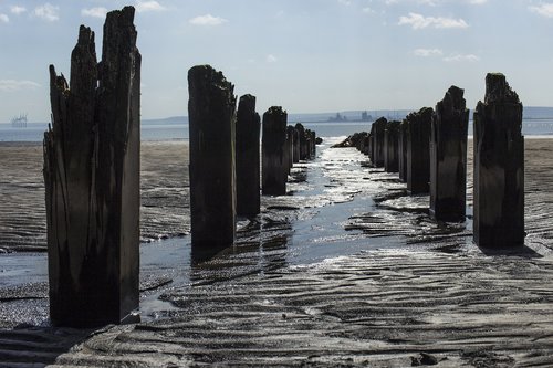 beach  posts  old pier