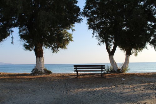 beach  the coast  bench