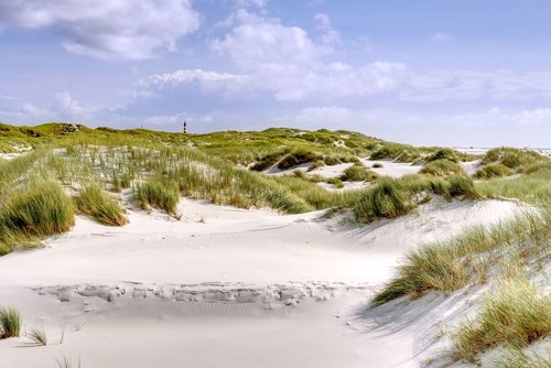 beach  dunes  sand