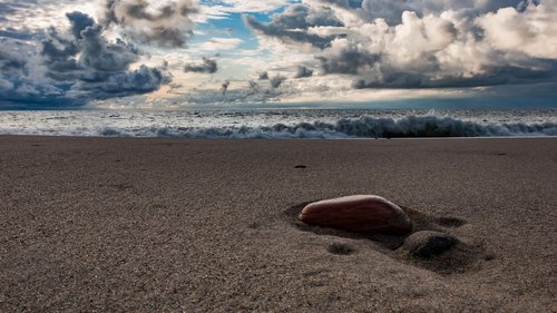 beach  sea  north sea