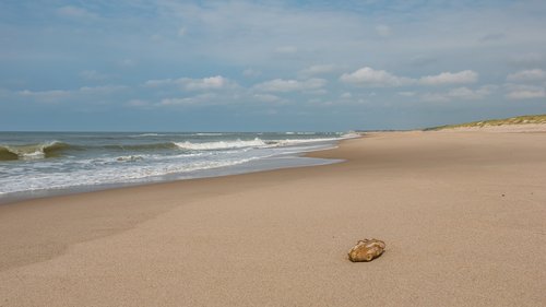 beach  denmark  sea