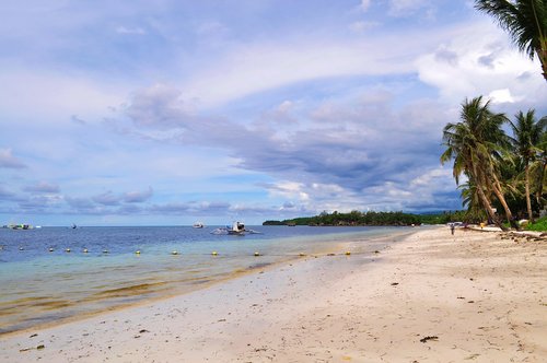 beach  sand  palm trees