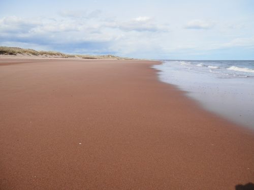 beach sea nature