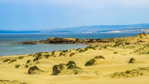 beach  dunes  sand