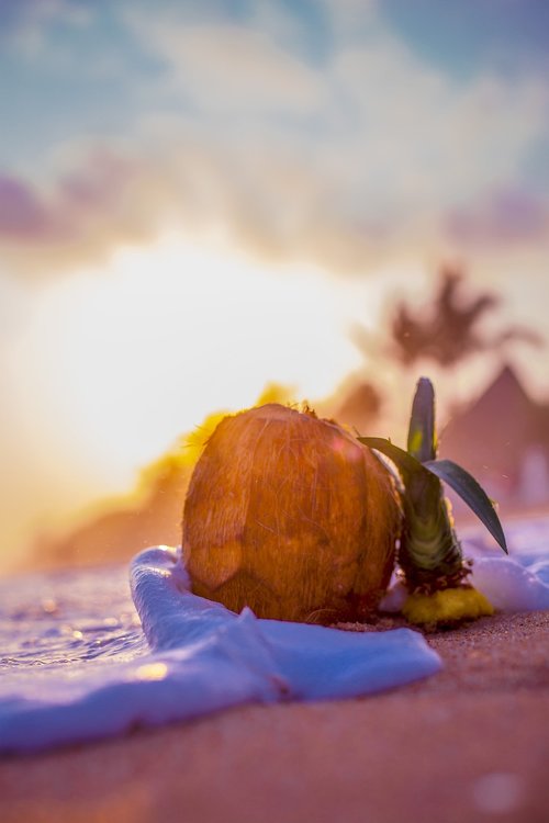 beach  sand  coconut