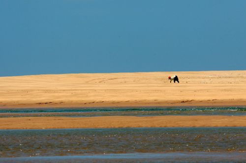 beach sand dune