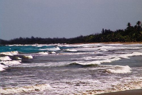 beach  sand  water