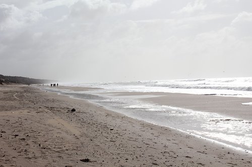 beach  winter  water