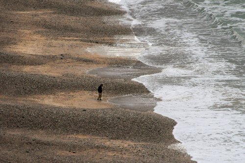 beach  sea  ocean