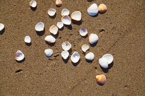 beach  sand  background