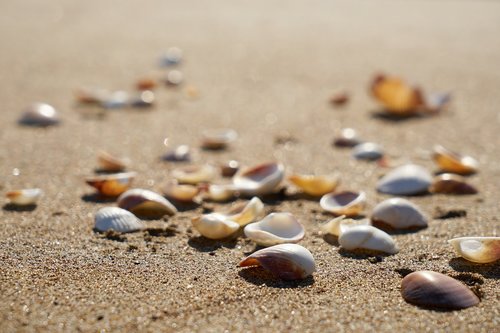 beach  sand  background