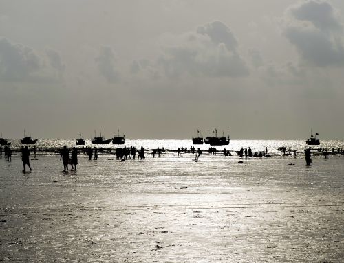 beach people ocean