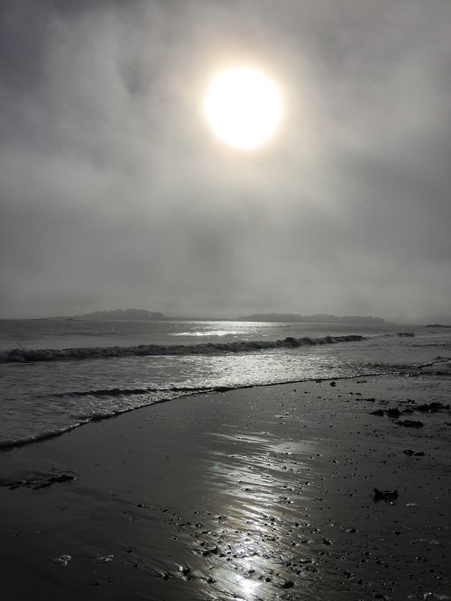 beach  sand  ocean