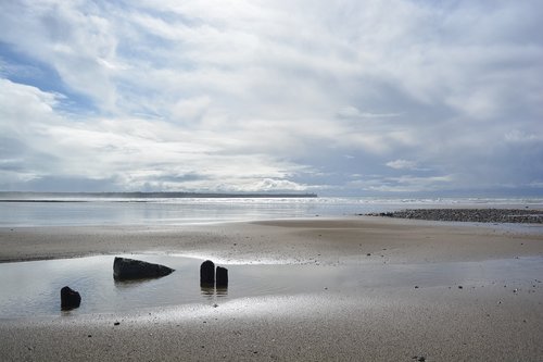 beach  sea  water