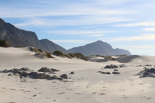 beach  sand  dunes