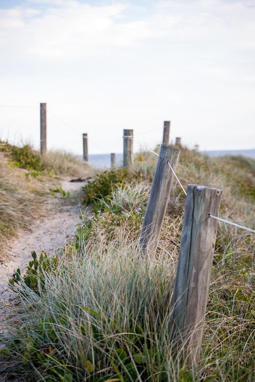 beach  fence  ocean