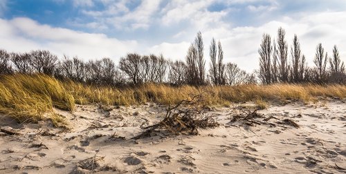 beach  coast  sand