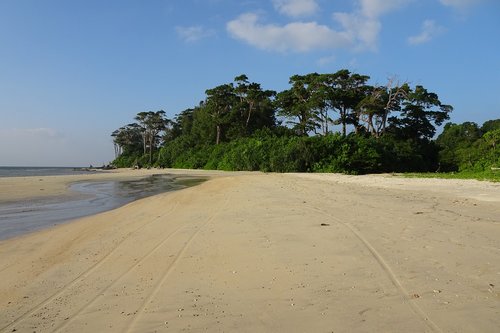 beach  sea  wandoor