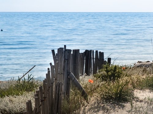 beach  bank  sand