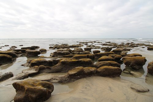 beach  ocean  l