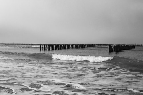 beach  sea  ocean