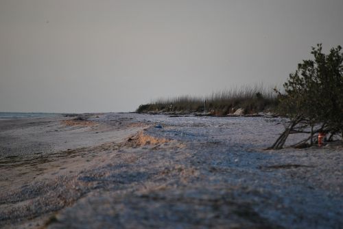 beach sea island