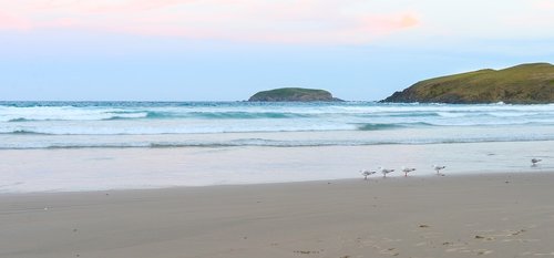 beach  sandy  sunset