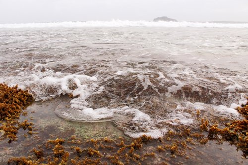 beach  sea  seascape