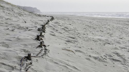 beach  dunes  sand