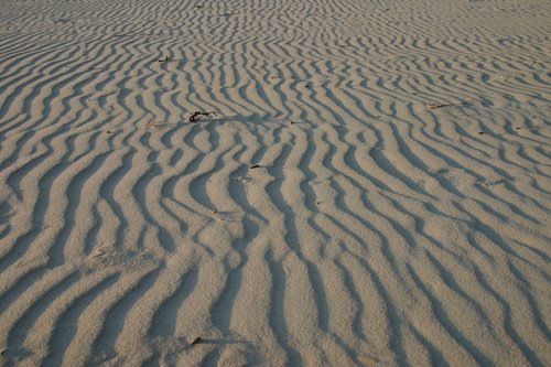 beach  sand  sea