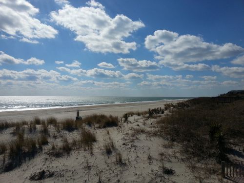 beach shore ocean